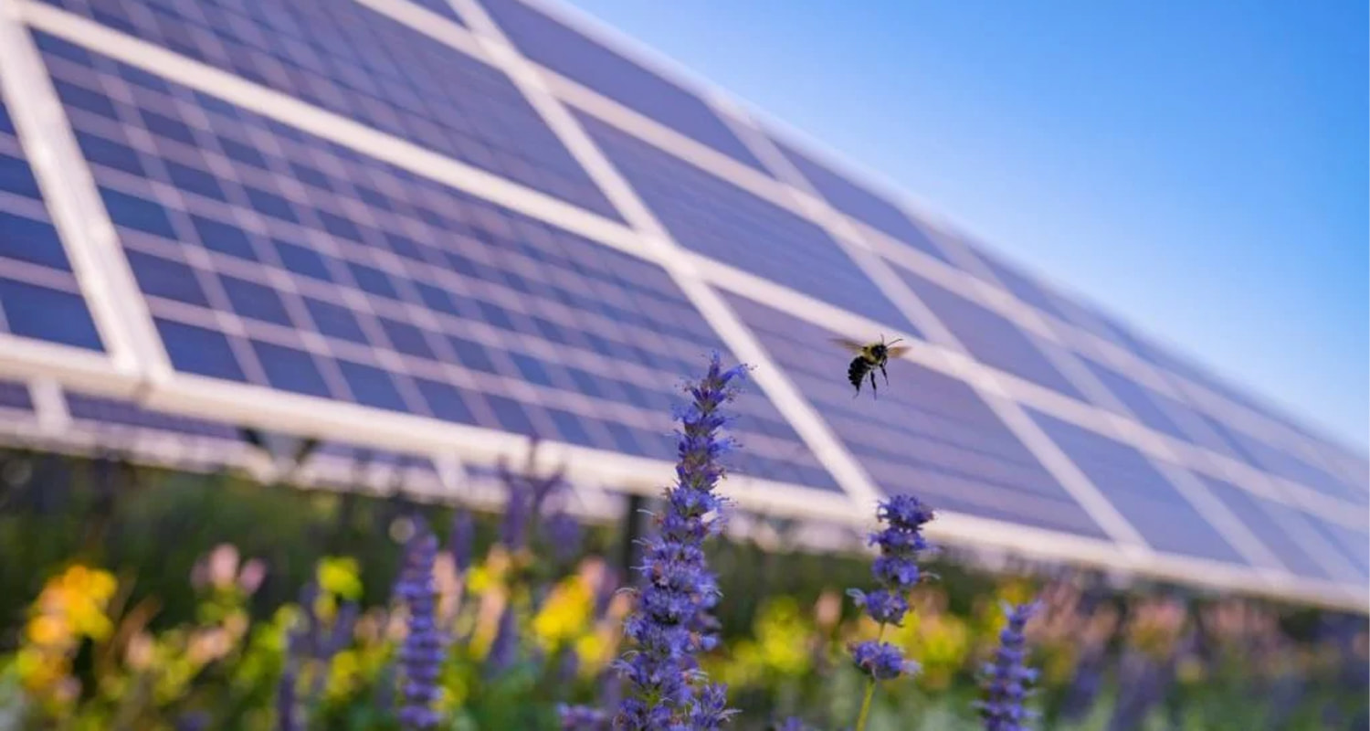 La empresa italiana Whysol consigue financiación para su cartera de energía agriPV y almacenamiento de energía de 328 MW.