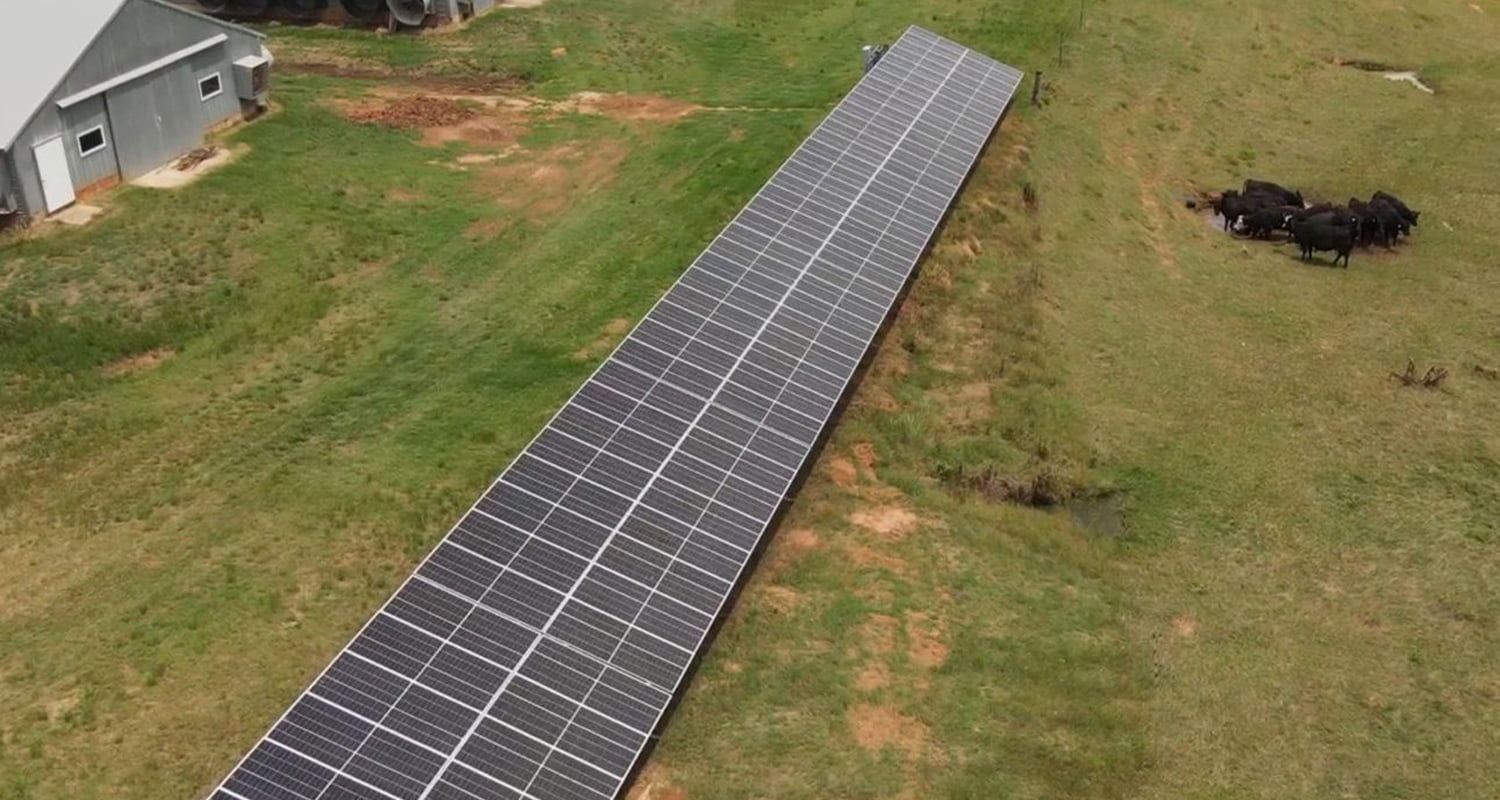 ¡Módulos fotovoltaicos enormes, en peligro!